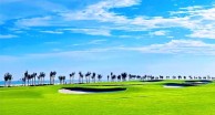 Dragon Golf Links